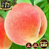 【ふるさと納税】4年連続総合1位獲得! 高レビュー続出 食べ比べ定期便 紀...