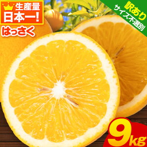 yӂ邳Ɣ[Łzڂ͖󂠂蒆g͕ςʔ 󂠂 ͂ 1kg 4kg 9kg (4L~STCY TCYsI) EӐwss2{-3{ɏoח\(yj)tI̐s