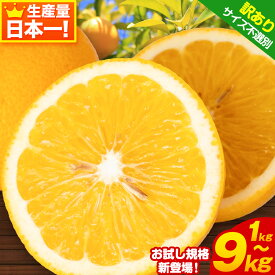 【ふるさと納税】2026年発送!! 見た目は訳あり中身は変わらぬ美味しさ 訳あり はっさく 約1kg 約4kg 約9kg (4L~Sサイズ サイズ不選別) 早生・晩生指定不可【楽天限定】《2月上旬-3月中旬に出荷予定(土日祝除く)》紀の川市 八朔 柑橘 果物 フルーツ ご家庭用 ビタミンC