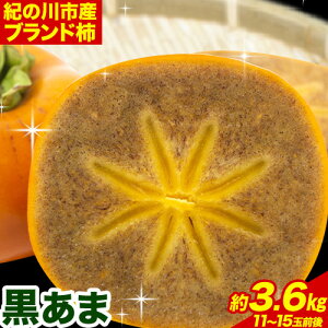 yӂ邳Ɣ[Łzuh`u܁v I̐` 1.5kg ` 3.6kg 4L`2Ls2025N10{-11o(yj)ta̎R I̐s ˂Ȃ` 날  Yn  ` JL 