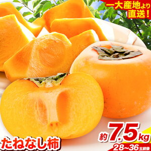 yӂ邳Ɣ[ŁzKio!! ZȏĤ ˂Ȃ` 1.5kg ` 7.5kg s2025N9{-11{o(yj)t a̎R I̐s Ȃ` Yn ` ʕ t[c 2L`M