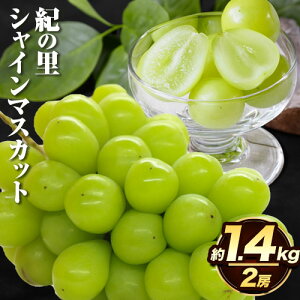 yӂ邳Ɣ[Łz΂̕ VC}XJbg I̗ Iׂe 1kg 1.2kg 1.4kg 2[ s2025N8{-10{oׁta̎R I̐s VC }XJbg  Mtg lC Ԍ