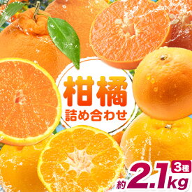 【ふるさと納税】2026年出荷分 みかん 柑橘 詰め合わせ セット 約 2.1kg (約700g×3袋) 計3種入り【先行予約】《2026年2月上旬-3月末頃出荷》和歌山県 紀の川市 送料無料 ミカン 柑橘類 せとか 不知火 はるみ お取り寄せ フルーツ 果物