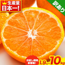【ふるさと納税】【年内発送】みかん王国和歌山よりお届け【訳あり/サイズ不選別】 和歌山みかん 選べる 内容量 約1.9kg 約5kg 約10kg 和歌山県産《年内発送》たっぷり ご家庭用 2L〜2S みかん 旬 蜜柑 ミカン 柑橘 果物 フルーツ 和歌山県 紀の川市