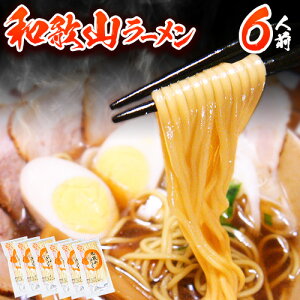 【ふるさと納税】和歌山ラーメン6人前(個包装)有限会社麺彩工房ふる里 醤油とんこつ味《90日以内に出荷予定(土日祝除く)》 和歌山県 紀の川市