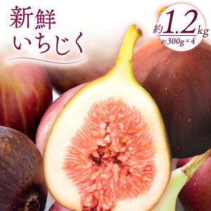 yӂ邳Ɣ[Łza̎RI̐sY VN v1.2kg 300g×4pbNs2024N9{-11{oׁtI̐sI a̎R I̐s ԉ C`WNyzsn悠z