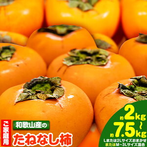 yӂ邳Ɣ[Łzyƒpzys\za̎RŶ˂Ȃ` Iׂe 2kg 7.5kg M-3LTCYyTCYCzs2026N10{-11oח\t a̎R I̐s I̐s