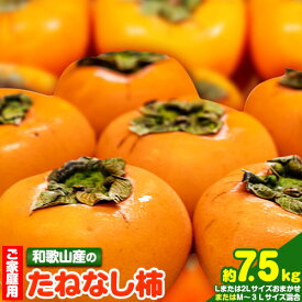 【ふるさと納税】【ご家庭用】和歌山産のたねなし柿約7.5kg1箱約7.5kgM～3Lサイズ【サイズお任せ】(個数目安:28玉～40玉)《10月上旬-11月末頃より出荷予定》 和歌山県 紀の川市 紀の川市厳選館 柿 カキ かき ジューシー フルーツ 秋の味覚 刃根早生 平核無柿