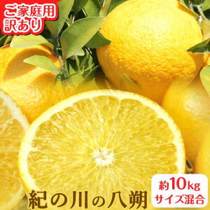 yӂ邳Ɣ[Łzƒp 󂠂 I̐̔ 10kg TCY I ͂ ks2026N1{-3{oׁt I̐sI a̎R I̐s t[c ʕ