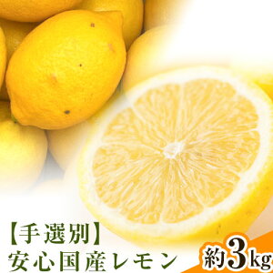 yӂ邳Ɣ[ŁzyIʁEYzI̐sŸSY 3kg ks2025N11oׁt I̐sI a̎R I̐s t[c ʕ
