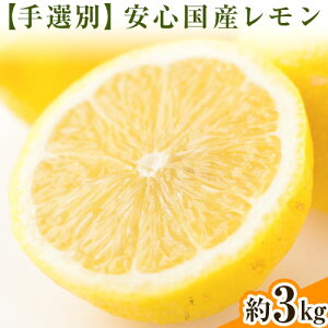 yӂ邳Ɣ[ŁzyIʁEYzI̐sŸSY 3kg ks12E1oׁt I̐sI a̎R I̐s t[c ʕ