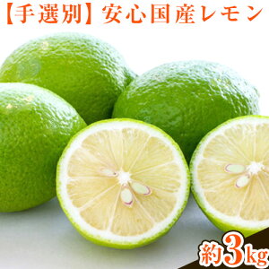 yӂ邳Ɣ[ŁzyIʁEYzI̐sŸSY 3kg ks9E10oׁt I̐sI a̎R I̐s t[c ʕ