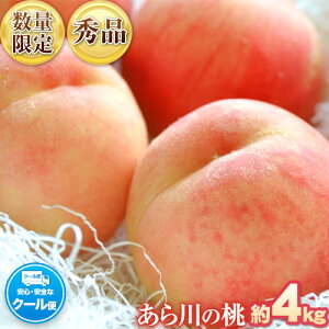 yӂ邳Ɣ[Łzys\z ̓ ϔ 4kg(10-15) Gi _s2026N6{-8{oׁta̎R I̐s R   ʕ t[c