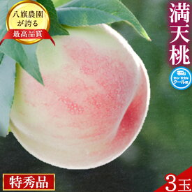 【ふるさと納税】【先行予約】満天桃 3玉(5Lサイズ以上) 糖度12度以上 特秀品 八旗農園《2026年7月下旬-8月下旬頃出荷》 和歌山県 紀の川市 桃山町 もも モモ 果物 フルーツ