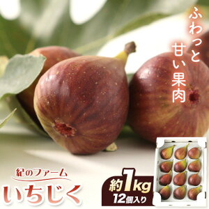 yӂ邳Ɣ[Łz  1kg ( 12 ) Ĩt@[ s8{-10{蔭\t a̎R I̐s C`WN ԉ ʕ  t[c 