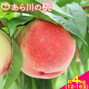 yӂ邳Ɣ[Łzys\za̎RI̐sY̓ Iׂ 1kg`4kg Gi OXs2026N6-7{oׁt a̎R I̐s Yn   ʕ t[c