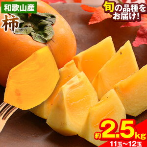 yӂ邳Ɣ[Łza̎RY a̎RY ` 2.5kg 11-12 OXs9{-11{oׁt`  t[c XC[c ʕ 