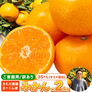 yӂ邳Ɣ[Łz݂ 󂠂   2kg 3S`L TCY _܁[Ɓs11{-12{oׁta̎R I̐s  󂠂 ݂ ƒp k k t[c 