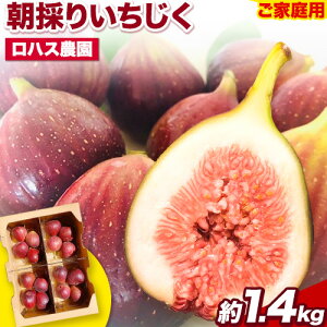 yӂ邳Ɣ[Łzƒp ̂肢 1.4kg 350g×4pbN nX_s8{-11oׁta̎R I̐s ԉ C`WNyzsn悠z