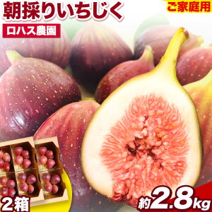 yӂ邳Ɣ[Łzƒp ̂肢 2 2.8kg 350g×8pbN nX_s8{-11oׁta̎R I̐s ԉ C`WNyzsn悠z