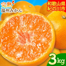 【ふるさと納税】【先行予約】完熟 温州みかん 約3kg (35~40玉) こだまファーム《2025年10月中旬-2026年2月中旬頃出荷》 和歌山県 紀の川市 みかん ミカン 果物 フルーツ