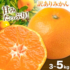 【ふるさと納税】訳ありみかん 選べる内容量 3kg (35-40玉) または 5kg (45-55玉) こだまファーム《10月中旬-2月下旬頃出荷》和歌山県 紀の川市 みかん ミカン 柑橘 果物 フルーツ 訳あり 訳アリ ご家庭用 和歌山県産