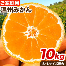 【ふるさと納税】ご家庭用 温州みかん 10kg (S〜Lサイズ混合) 和田果樹園【先行予約】《2025年11月上旬-2026年2月上旬頃出荷》 和歌山県 紀の川市 みかん ミカン 果物 フルーツ 温州みかん ご家庭用 送料無料