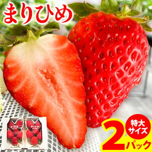 yӂ邳Ɣ[Łz󏭁I܂Ђ߁@TCY@300g`350g×2pbN _s2026N2-3oׁt   ܂Ђ t[c ʕ XC[c 
