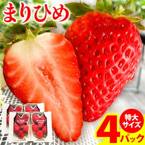 yӂ邳Ɣ[Łz󏭁I܂Ђ߁@TCY@300g`350g×4pbN _s2026N1{-3oׁt   ܂Ђ t[c ʕ XC[c 
