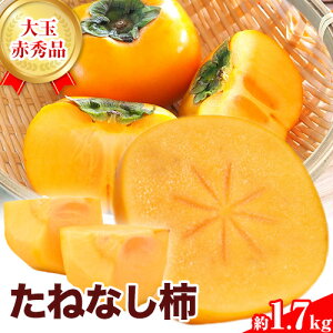 yӂ邳Ɣ[ŁzԏGi 햳`()1.7kg (6) _s2026N9-10oׁt `  JL  Ƃ˂킹 t[c ʕ XC[c 