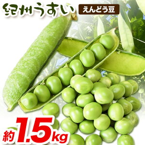 【ふるさと納税】和歌山県特産 紀州うすい えんどう豆 約1.5kg(豆ご飯 約1.5升分) まる中農園《2026年5月下旬-6月下旬頃出荷》 和歌山県 紀の川市 えんどう豆 野菜 紀州うすい うすいえんどう