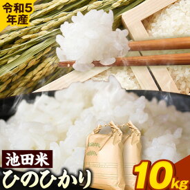 【ふるさと納税】令和5年産 池田米 10kg (5kg×2袋) (紀の川市産ひのひかり) 上野商店 《60日以内に出荷予定(土日祝除く)》和歌山県 紀の川市 米 白米 ひのひかり