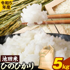 【ふるさと納税】令和5年産 池田米 5kg (紀の川市産ひのひかり) 上野商店 《60日以内に出荷予定(土日祝除く)》和歌山県 紀の川市 米 白米 ひのひかり