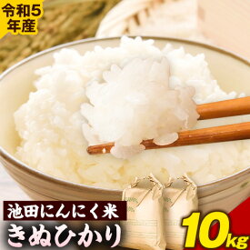 【ふるさと納税】令和5年産 池田にんにく米 10kg (5kg×2袋) (紀の川市産きぬひかり) 上野商店 《60日以内に出荷予定(土日祝除く)》和歌山県 紀の川市 米 白米 きぬひかり