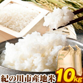 【ふるさと納税】令和5年産 紀の川市産地米 10kg (5kg×2袋) (米屋のおすすめ) 上野商店 《60日以内に出荷予定(土日祝除く)》和歌山県 紀の川市 米 白米 品種指定なし