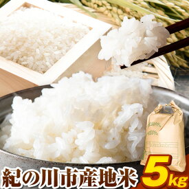 【ふるさと納税】令和5年産 紀の川市産地米 5kg (米屋のおすすめ) 上野商店 《60日以内に出荷予定(土日祝除く)》和歌山県 紀の川市 米 白米 品種指定なし