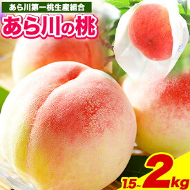 【ふるさと納税】【先行予約】あら川の桃 約1.5kg (5-7玉) または 約2kg (6-8玉) あら川第一桃生産組合《2026年6月下旬から8月下旬頃出荷》 和歌山県 紀の川市 あら川の桃 モモ 桃 もも