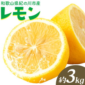 �y�ӂ邳�Ɣ[�Łz�a�̎R���I�̐�s�Y ������ �I�ׂ���e�� ��1kg ��2kg ��3kg HAT-SHOP�s11����{-5�����{���o�ׁt�a�̎R�� �I�̐�s �ʕ� �t���[�c �E�G �ʕ� ���َq ���� ����