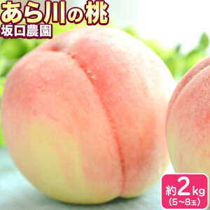 yӂ邳Ɣ[Łz̓ Gi 2kg(5~8) _s2026N6{-7{oח\t a̎R I̐s    P 씒P I̗P  쒆 Ȃ 