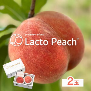 yӂ邳Ɣ[Łzys\z_ۂňĂ ̓ Lacto Peach Ngs[` 2ʁs7{-7{oׁt 2ʓ a̎RY Җ{_ SEC & Co. I̐s ʕ t[c    {