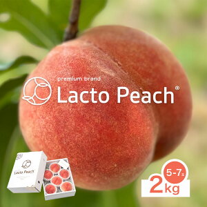 yӂ邳Ɣ[Łzys\z_ۂňĂ ̓ Lacto Peach Ngs[` 2kgs2026N7{-7{oׁt 5~7ʓ a̎RY Җ{_ SEC & Co. I̐s ʕ t[c   