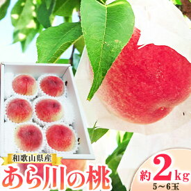 【ふるさと納税】名産地 より お届け！ あら川の桃 約2kg (5~6玉) 森端農園《2025年6月中旬-2025年9月中旬頃出荷》和歌山県 紀の川市 もも モモ 桃 果物 フルーツ