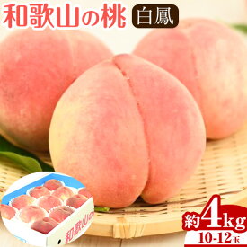 【ふるさと納税】桃(白鳳) Lサイズ以上 4kg(10〜12玉) 児玉農園《2026年7月上旬-7月末頃出荷》和歌山県 紀の川市 果物 フルーツ 桃 もも モモ 白鳳