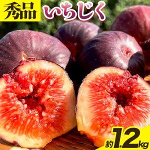 yӂ邳Ɣ[Łzys\zI̐Y  Gi 1.2kg 300g×4pbN WAT_s2025N8{-11{oׁt a̎R I̐s C`WN ԉ t[c ʕ