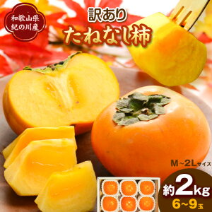 yӂ邳Ɣ[Łz󂠂肽˂Ȃ` 2kg _s2025N10{-10{蔭\t a̎R I̐s I̐s Ȃ ` JL  W[V[ t[c H̖o