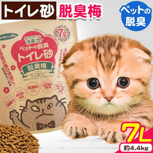yӂ邳Ɣ[Łzybg̒ELgCEL~ 7L (4.4kg) Z^[oCs60ȓɏoח\(yj)ta̎R I̐s gC L ybg Sf EL~ ~ SDGs AbvTCN 