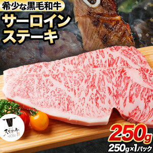 yӂ邳Ɣ[ŁzF싍 I̐Va T[CXe[L250g(250g × 1) LЏs30ȓɏoח\(yj)tT[CXe[L јa   Xe[L Xe[