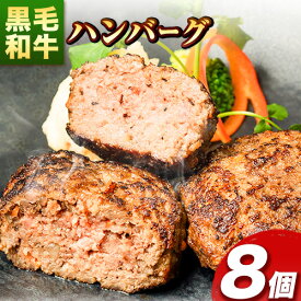 【ふるさと納税】肉 黒毛和牛 ハンバーグ 天空和牛ハンバーグ 約800g (約100g×8個)《30日以内に出荷予定(土日祝除く)》有限会社松牛 和歌山県 紀の川市 熊野牛 紀の川天空和牛 惣菜 おかず