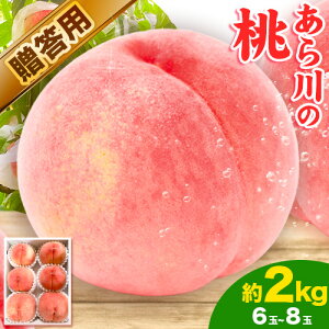yӂ邳Ɣ[Łz  p lΉ ̓ 2kg (6~8) Ƃ_s2026N6{-8蔭\t a̎R I̐s  ƒp ʕ t[c ① Mtg