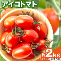 楽天市場】ふるさと納税（産地（都道府県）和歌山）（トマト｜野菜 